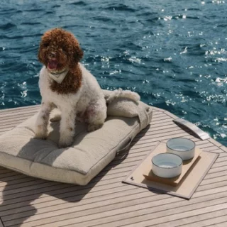 Poldo Dog Couture e Pardo Yachts lanciano una linea di lusso per cani. Scopri l'esclusivo kit yachting per il 2024!