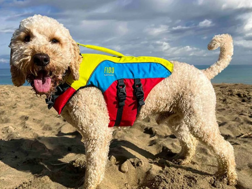 Spinlock lancia FIDO, il giubbotto di salvataggio per cani, garantendo comfort e sicurezza in ogni avventura in mare.