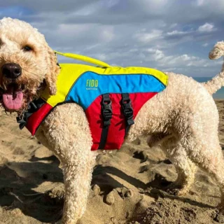 Spinlock lancia FIDO, il giubbotto di salvataggio per cani, garantendo comfort e sicurezza in ogni avventura in mare.