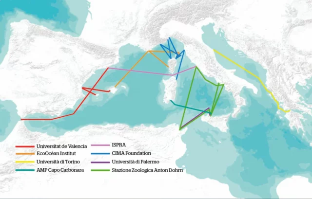 zona di osservazione