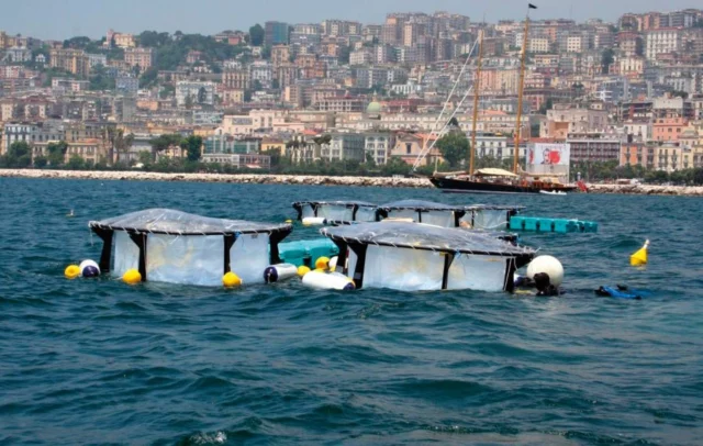 Studio microplastiche golfo di Napoli